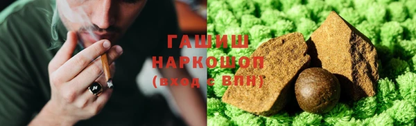 гидра Бородино