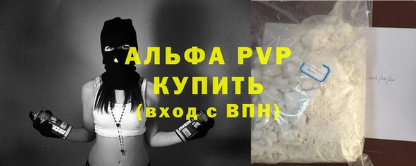 гидра Бородино