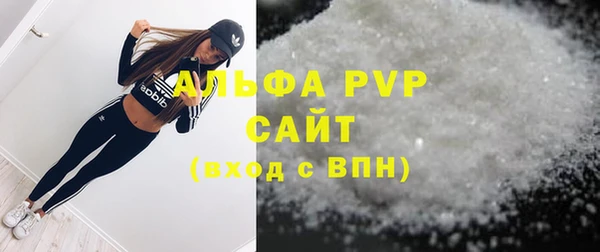 гидра Бородино