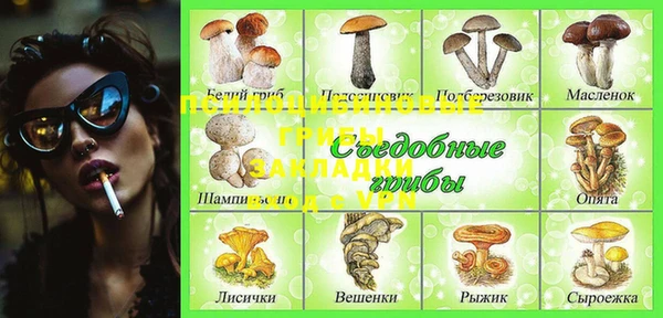 тгк Бронницы