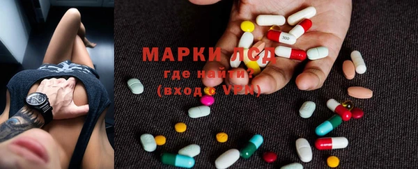 гидра Бородино