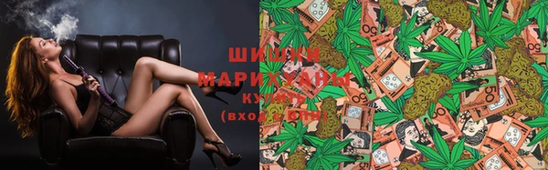 гидра Бородино